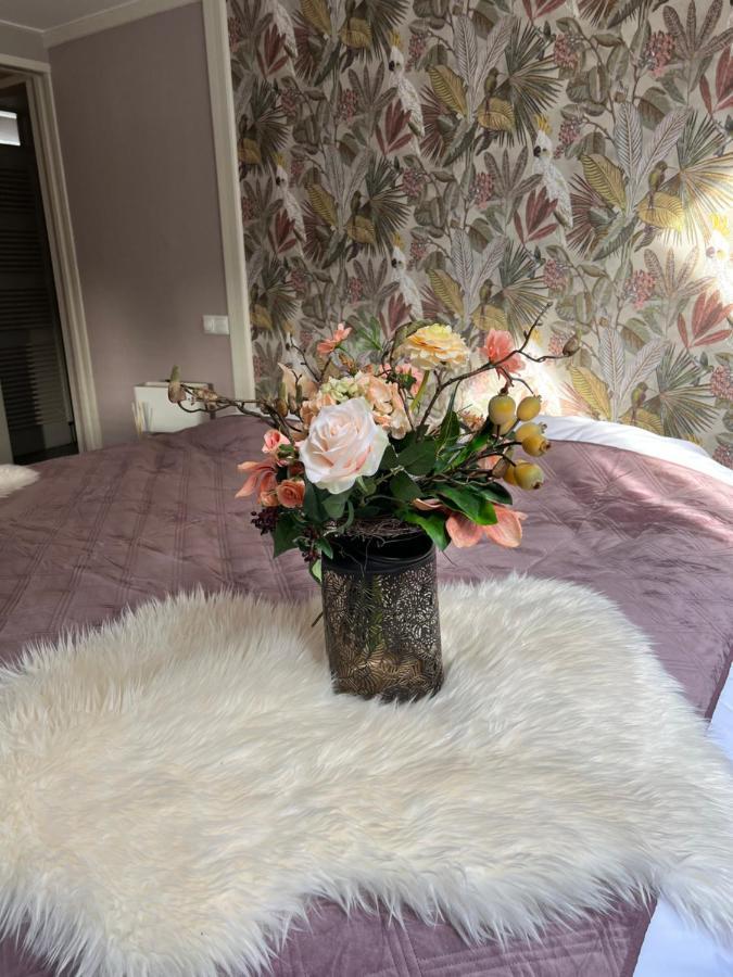 Accommodatie bij particulieren La Dolce Leeuwarden